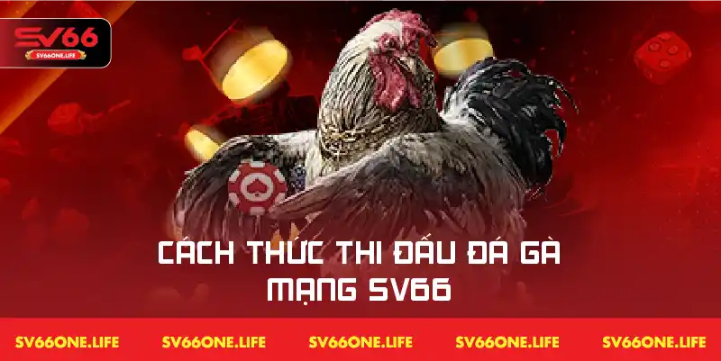 Hướng dẫn chi tiết cách tham gia các trận đá gà online trên SV66.